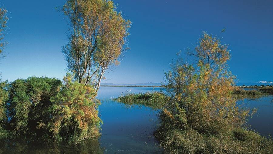 Alagol, Almagol and Ajigol Wetlands